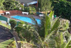 an overhead view of a swimming pool with palm trees at 511 Umdloti Resort 1 bed beachfront Apartment self catering Great Sea View in Umdloti