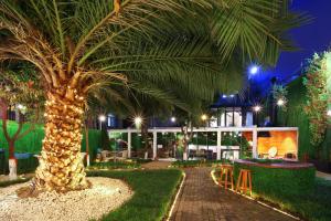 a palm tree in front of a building at night at Walton Gardens Pera in Istanbul
