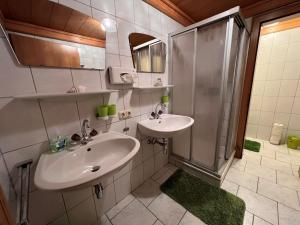 ピーゼンドルフにあるApartment Haslinghof - PID235 by Interhomeのバスルーム(シンク2台、シャワー付)