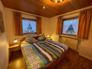 1 dormitorio con 1 cama y 2 ventanas en Apartment Wank by Interhome en Farchant