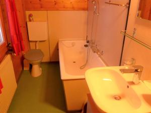 uma casa de banho com um lavatório, um chuveiro e um WC. em Apartment Lärchenheim by Interhome em Gasenried