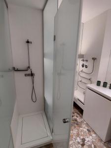 Kopalnica v nastanitvi Apartment Inner City by Interhome