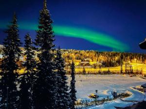 an aurora in the sky over a forest with trees at Holiday Home Vuosselinkulma 4 by Interhome in Ruka