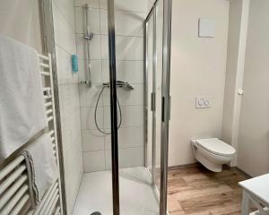 a bathroom with a shower and a toilet at Hotel Goldener Löwe in Kufstein
