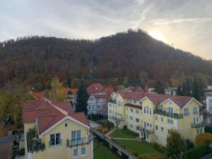 a group of houses in front of a mountain at Ferienwohnung Luxusblick in Bad Harzburg