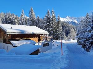 Chalet Mon Rêve by Interhome durante l'inverno
