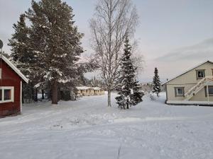 Aurora River Camp Glass igloos & cabins v zimě