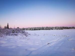 un campo cubierto de nieve con árboles en el fondo en Aurora River Camp Glass igloos & cabins, en Kiruna