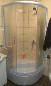 a shower with a glass door in a bathroom at Motel Luka in Deževice