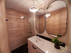 baño con lavabo y espejo grande en Andra Mari Apartamentu Turistikoak, en Bermeo