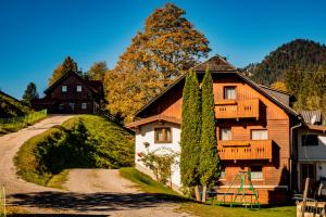uma casa de madeira numa colina ao lado de uma estrada em Ahornhütte em Schladming