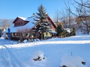 a house with a christmas tree in the snow at Penzión Štefánik in Súľov