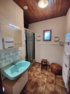 een badkamer met een blauwe wastafel en een spiegel bij Chalet Savoiage in Saint-Colomban-des-Villards