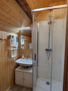 Saint-Colomban-des-VillardsにあるChalet Savoiageのバスルーム(シンク、シャワー付)