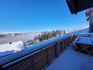 Chalet Diamondsky by Interhome during the winter