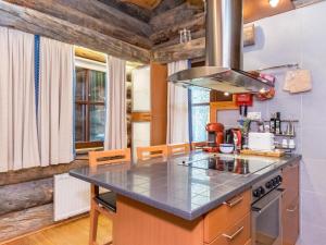 uma cozinha com um fogão e uma bancada em Holiday Home Satukero a 2 by Interhome em Pyhätunturi