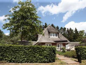 une maison avec un toit de chaume et un arbre dans l'établissement De Swarte Ruijter, à Holten