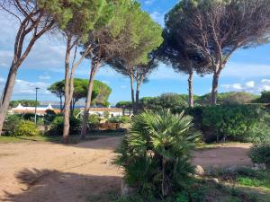 einen Park mit Palmen und einer unbefestigten Straße in der Unterkunft Holiday Home Bolina by Interhome in Conca Verde