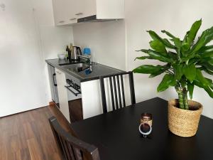 a kitchen with a table with a potted plant on it at Studio Flims in Flims