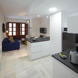 TV a/nebo společenská místnost v ubytování Apartamento con balcón en el centro histórico QH Reyes Católicos + 8 fotografií