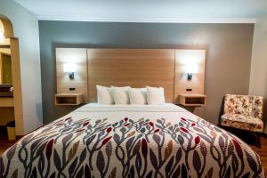 een hotelkamer met een bed en een stoel bij Quality Inn Bishop near Mammoth in Bishop