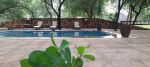 a swimming pool with chairs and a stone wall at PHAKELA PRIVATE LODGE in Thabazimbi