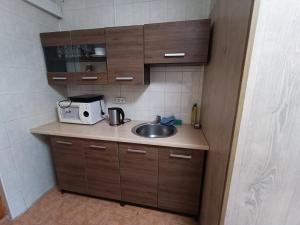 una pequeña cocina con fregadero y microondas en Surf Apartments in Melnrage, en Klaipėda