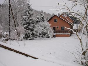 Holiday Home in Vosges Nature Park v zime