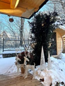 Obiekt Tatra Chalet Krupówki 77A zimą