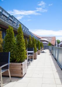 a row of chairs and trees on a balcony at Stadl Appartements in Türkheim