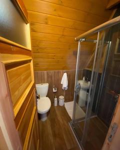 uma pequena casa de banho com WC e chuveiro em Sapanca Köy Bungalov em Sapanca