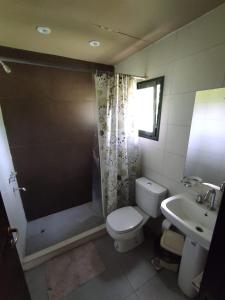 ein Bad mit einem WC, einer Dusche und einem Waschbecken in der Unterkunft Cabañas Entre Hileras in Ciudad Lujan de Cuyo