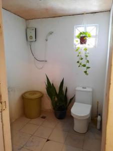 Koupelna v ubytování Paraiso Hostel Moalboal