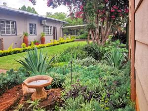 a garden with a bench in the middle of a yard at Cozy Manor Guestrooms in Lyttelton