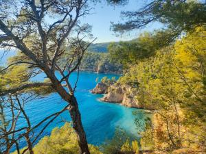 a view of a river from a tree at T3 Saint Cyr sur Mer 83270 in Saint-Cyr-sur-Mer