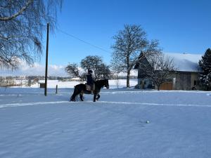Pferdehof Thomayer v zime