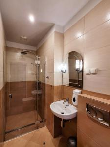 シュクラルスカ・ポレンバにあるWilla Słoneczkoのバスルーム(シンク、シャワー付)