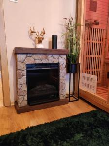 a living room with a stone fireplace with a potted plant at Ski Apartmán Sajmon so saunou in Makov