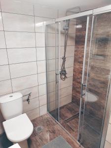 a bathroom with a toilet and a shower at Apartmani Mir A1 in Vrnjačka Banja