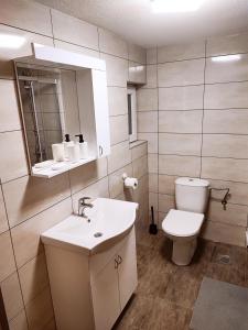 a bathroom with a sink and a toilet and a mirror at Apartmani Mir A1 in Vrnjačka Banja