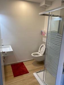 een badkamer met een toilet en een wastafel bij Via hofer in Brunico