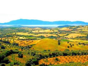 an aerial view of a field with trees and water at Near the sea big panoramic house 2 terraces in lovely village in Montiano