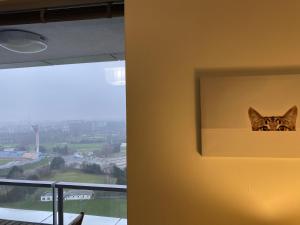 a cat is looking out of a window at Fantastic view from the 20th floor in Bratislava