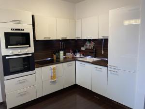 a kitchen with white cabinets and black appliances at Fantastic view from the 20th floor in Bratislava