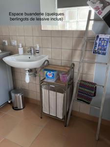 een badkamer met een wastafel, een handdoekenrek en een ladder bij Horte neuve in Marseillan