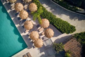 Bassein majutusasutuses Altura Hotel Zakynthos või selle lähedal