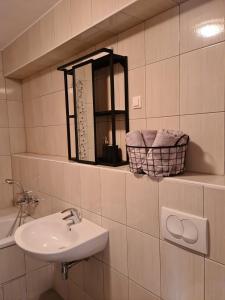 La salle de bains est pourvue d'un lavabo et d'un miroir. dans l'établissement APARTMA JEREBIKA ŠT. 20, à Hočko Pohorje