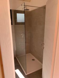 a shower with a glass door in a bathroom at Wellnester Tiny Houses and Retro-Caravan by the lake in Losheim am See in Losheim
