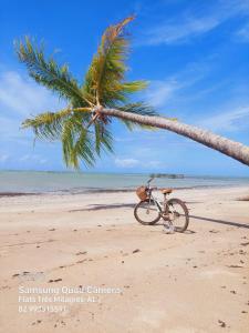 a bike parked under a palm tree on the beach at Pousada Flats Três Milagres-Flats Capitão Gabriel e Carolinda - Studios Ceci, Abelhinha e Buguinho- Com Café opcional in São Miguel dos Milagres