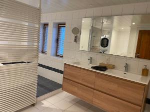 een badkamer met een wastafel en een grote spiegel bij Maison Nausikaa in Oostende